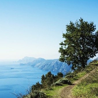 Path of the Gods